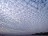Altocumulus Mackerel Sky
